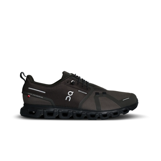 ON Cloud 6 Waterproof (Thorn/Black)